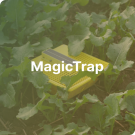 MagicTrap